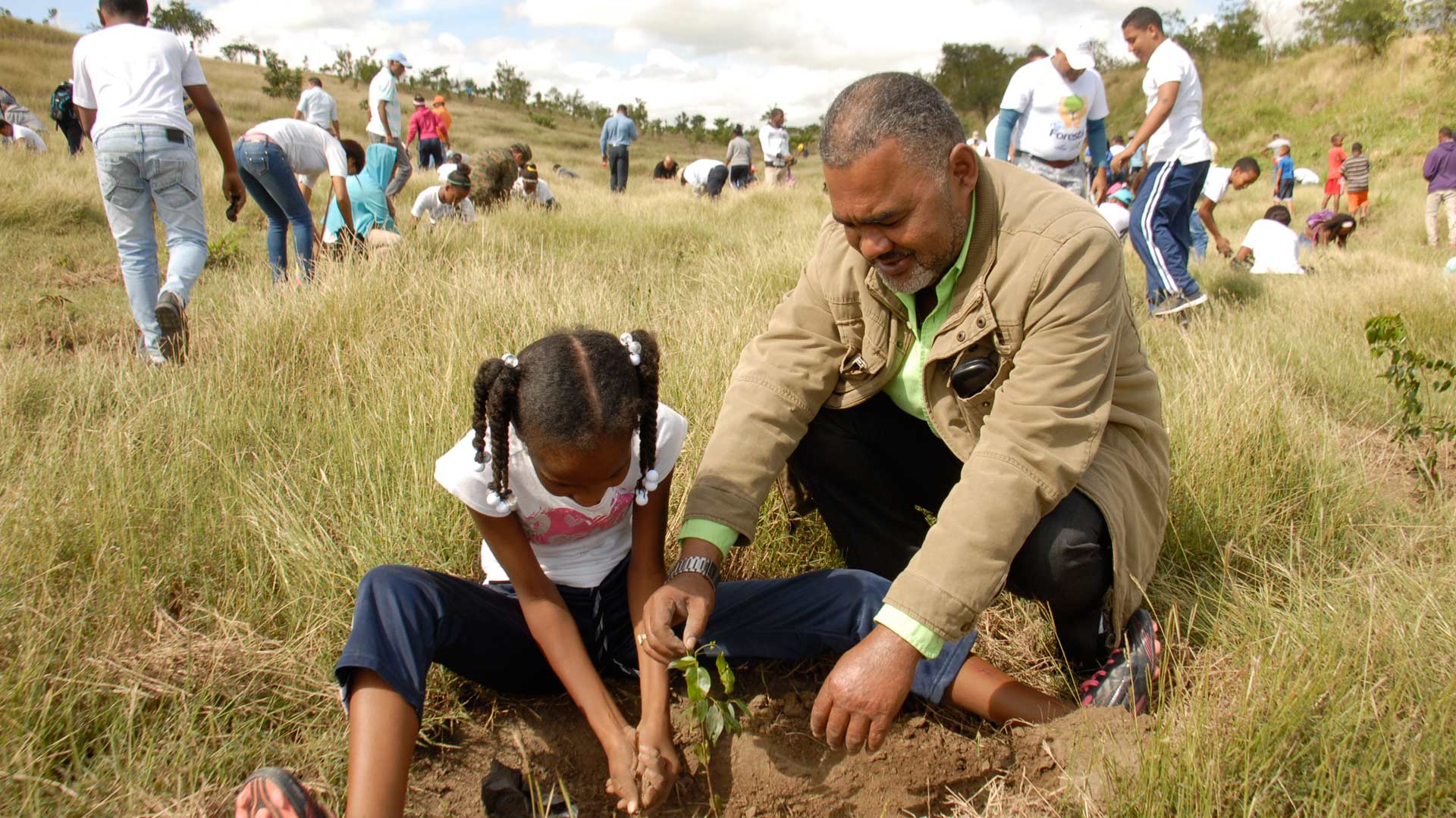 CDEEE y Edesur reforestan e instalan bombillas en El Cercado y Vallejuelo